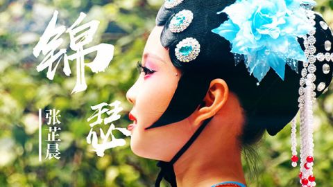 舞蹈：少儿《锦瑟》